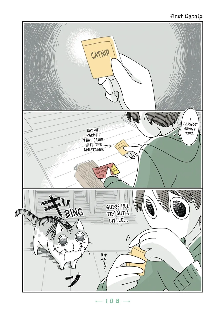 Nights With a Cat Chapter 18 page 11 - 