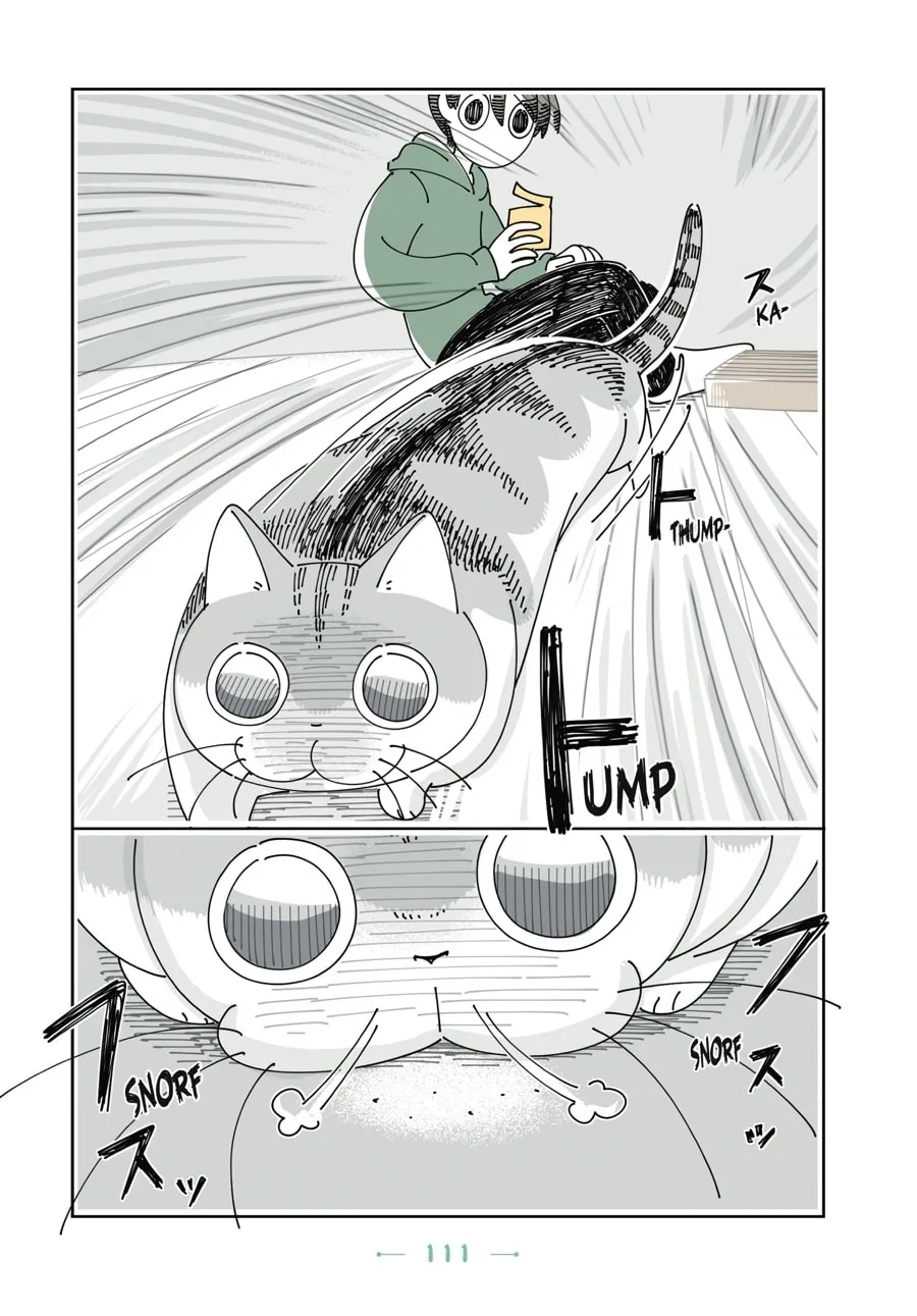 Nights With a Cat Chapter 18 page 14 - 