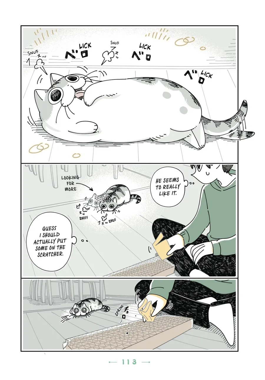 Nights With a Cat Chapter 18 page 16 - 