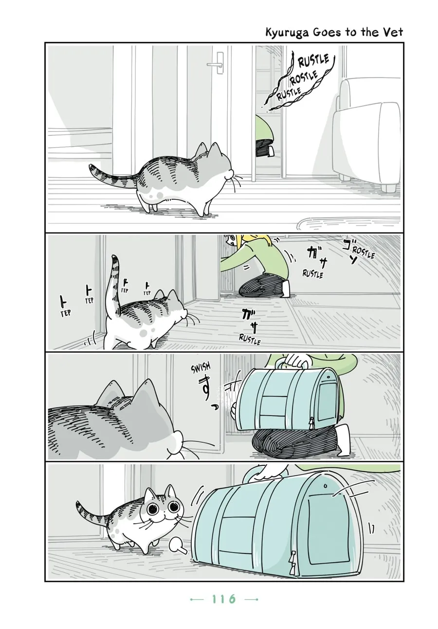 Nights With a Cat Chapter 18 page 19 - 