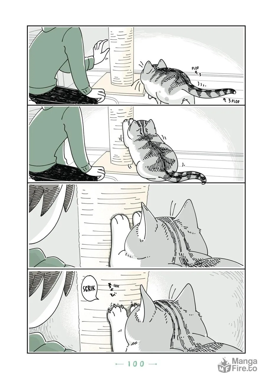 Nights With a Cat Chapter 18 page 3 - 