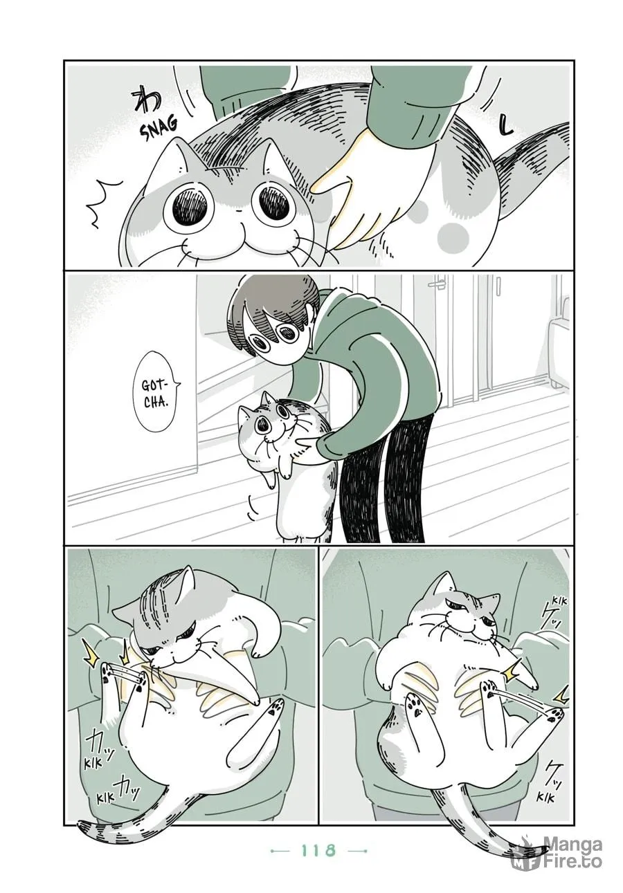 Nights With a Cat Chapter 18 page 21 - 