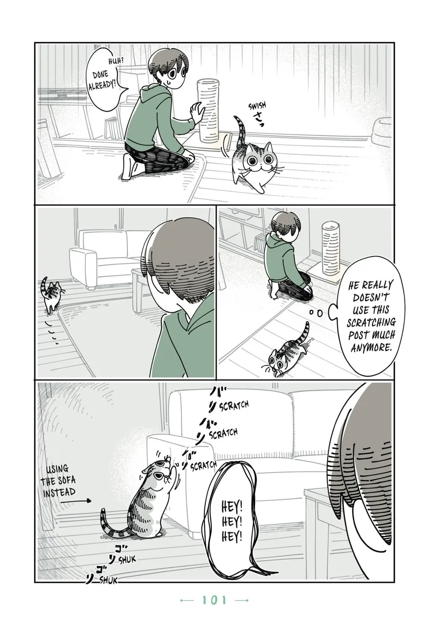 Nights With a Cat Chapter 18 page 4 - 