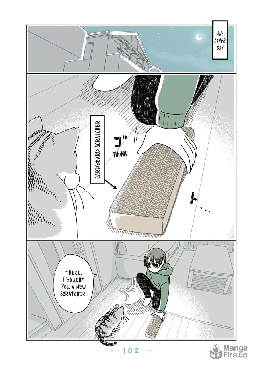 Nights With a Cat Chapter 18 page 5 - 