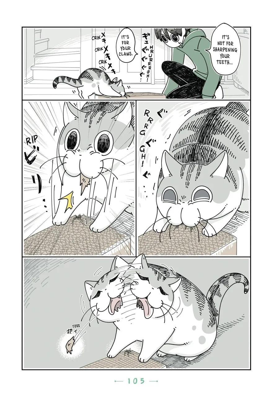 Nights With a Cat Chapter 18 page 8 - 