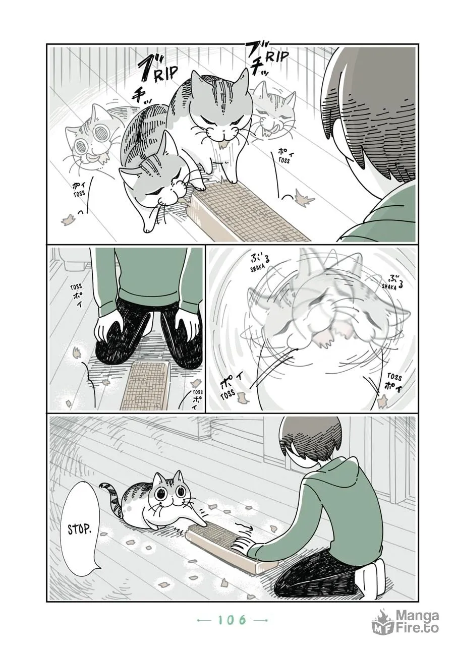 Nights With a Cat Chapter 18 page 9 - 