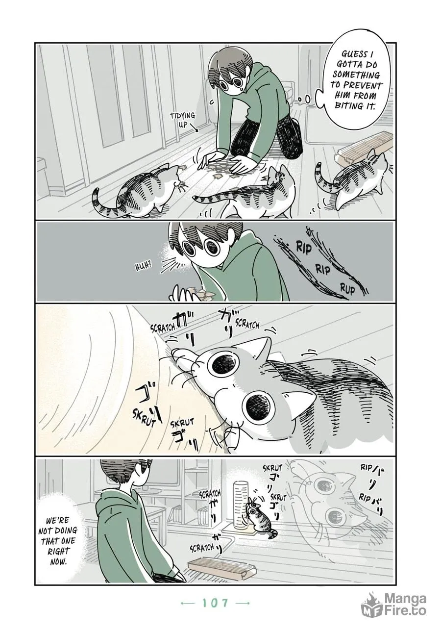 Nights With a Cat Chapter 18 page 10 - 