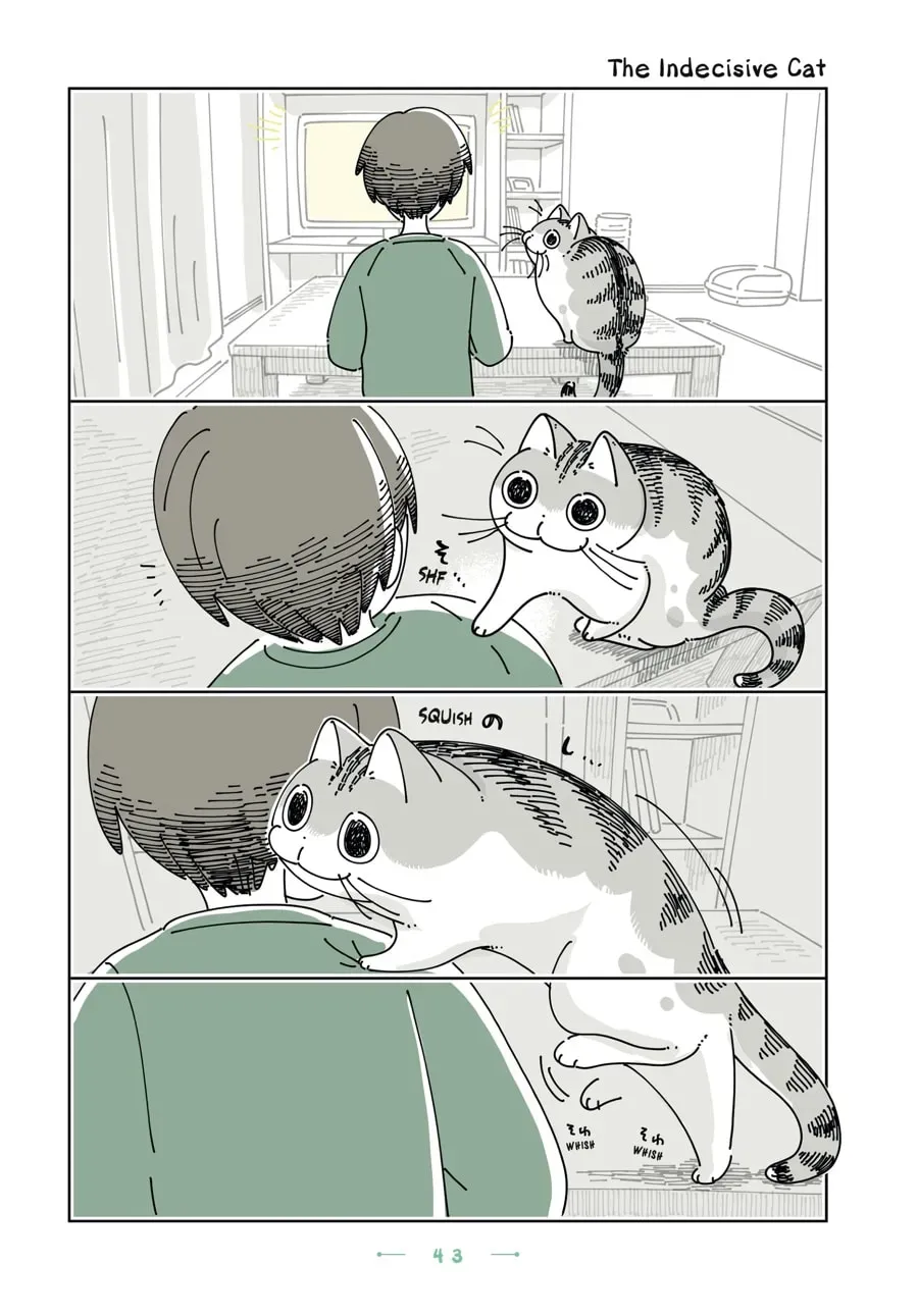 Nights With a Cat Chapter 180 page 1 - 