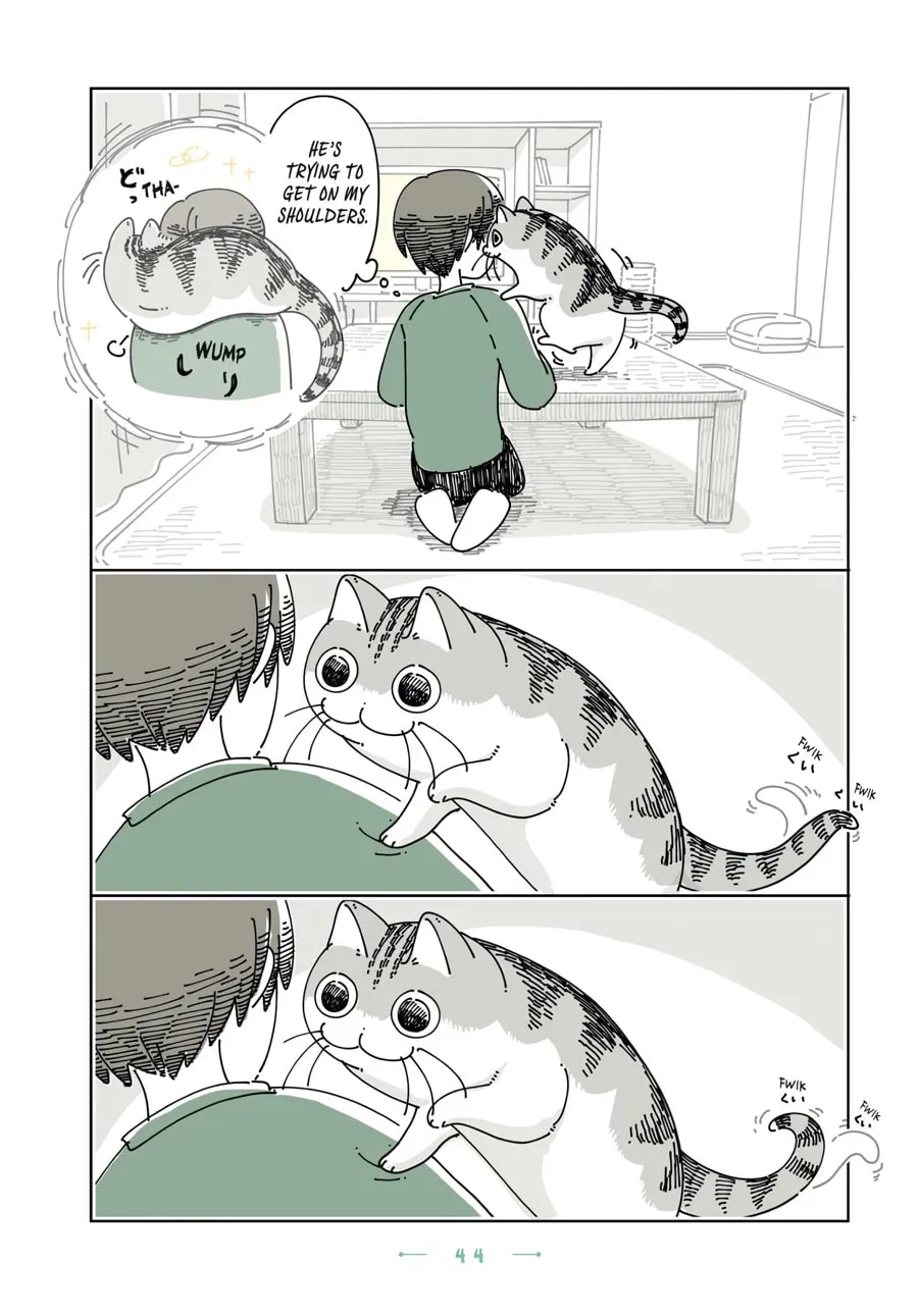 Nights With a Cat Chapter 180 page 2 - 