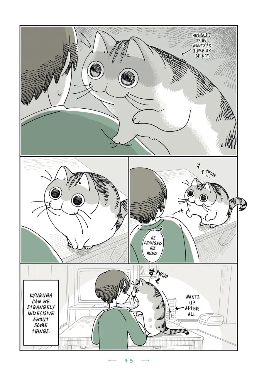 Nights With a Cat Chapter 180 page 3 - 