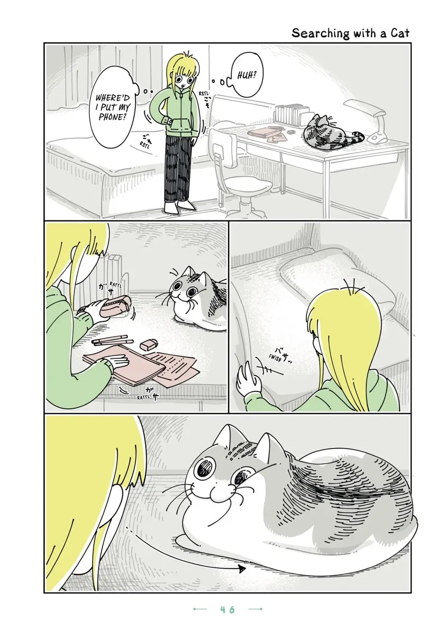 Nights With a Cat Chapter 181 page 1 - 