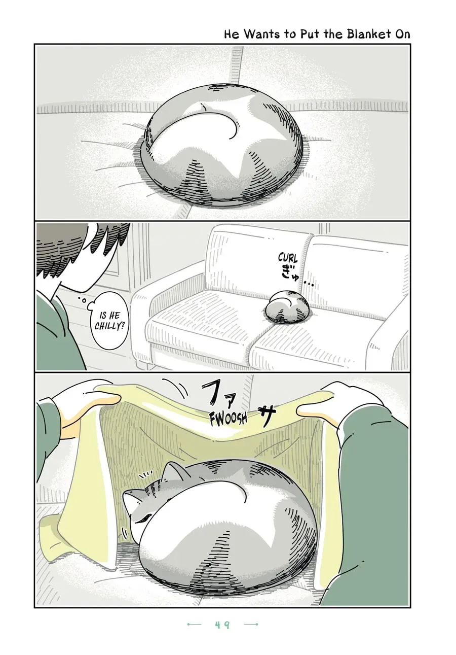 Nights With a Cat Chapter 182 page 1 - 