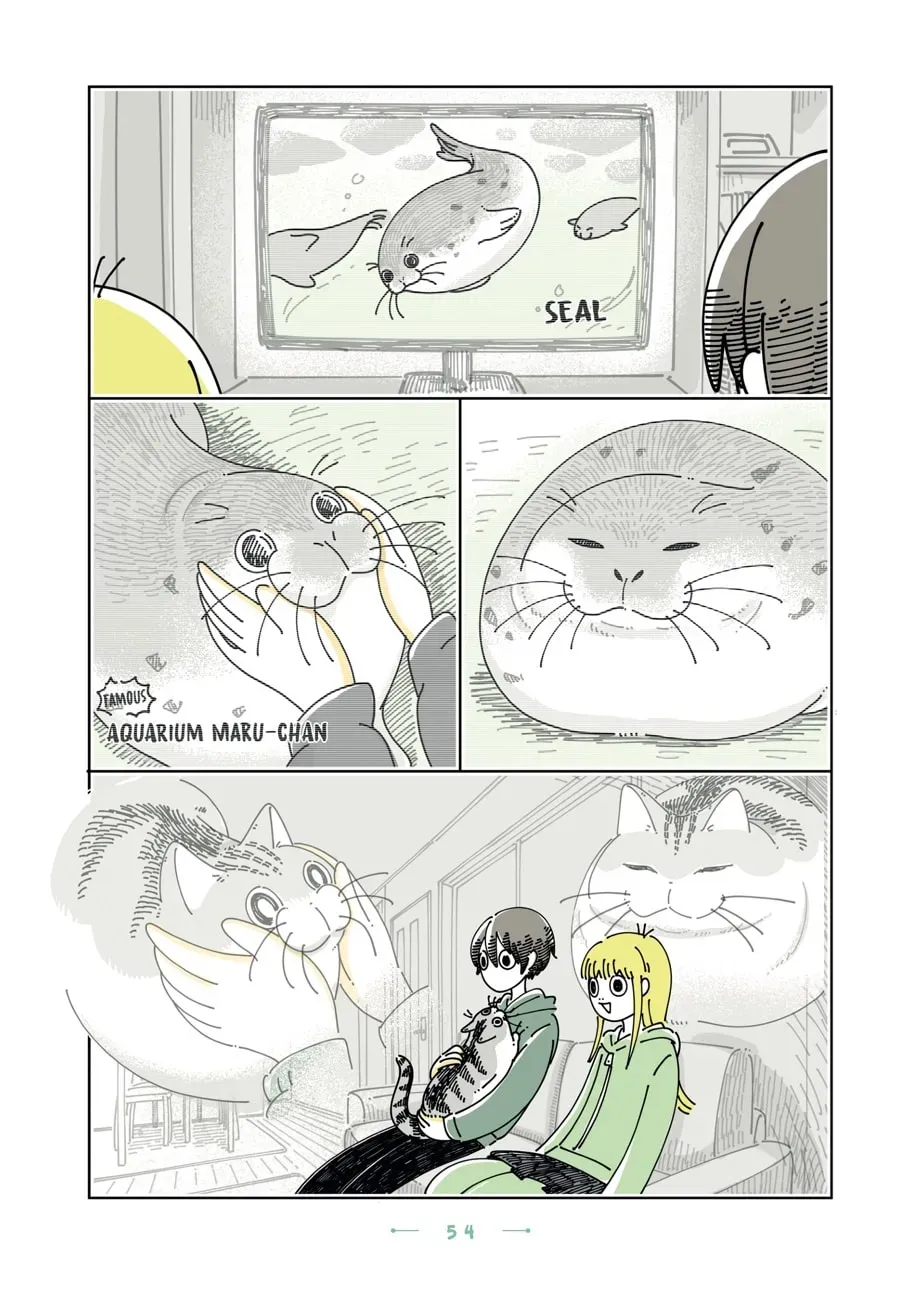 Nights With a Cat Chapter 183 page 2 - 