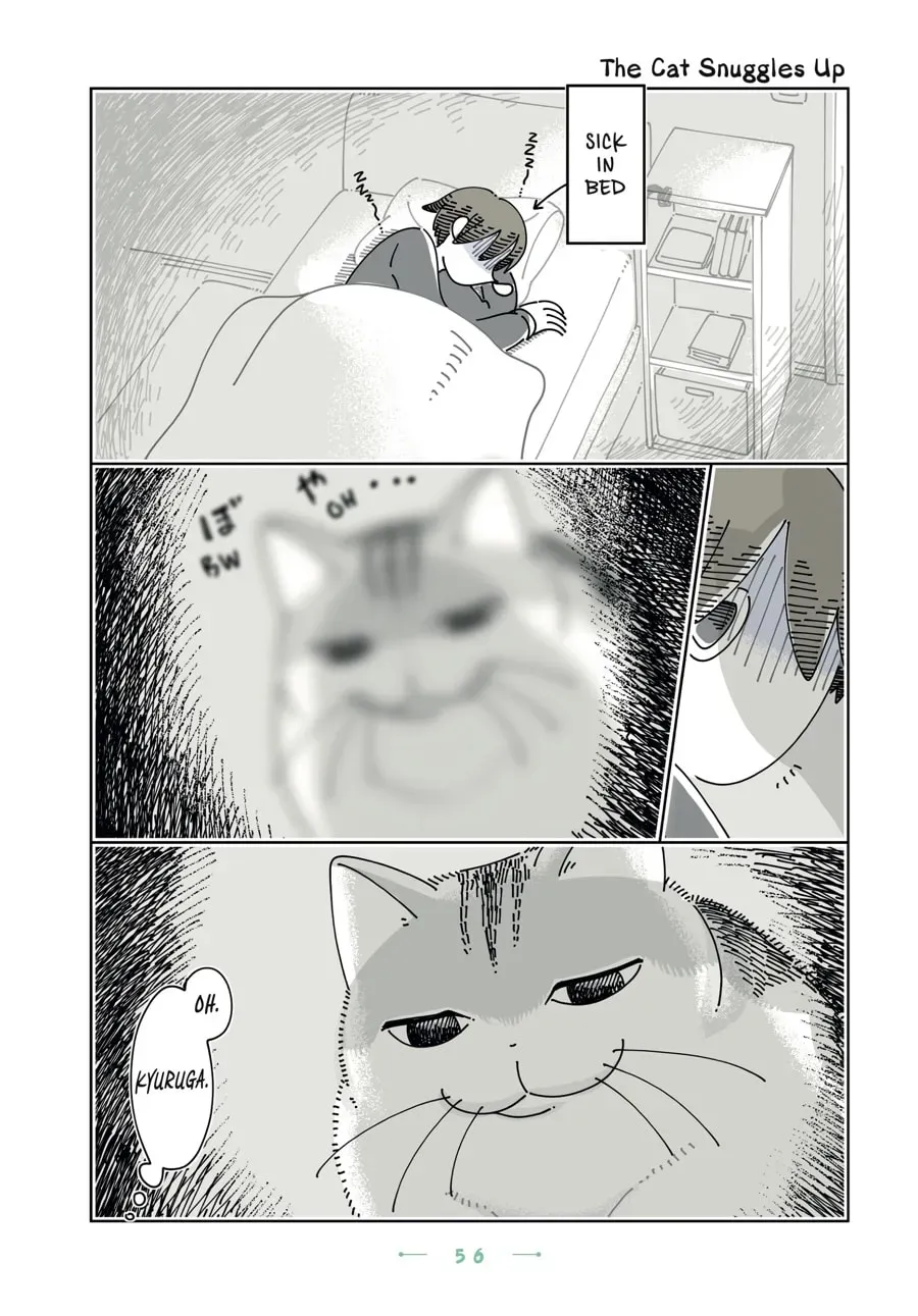 Nights With a Cat Chapter 184 page 1 - 