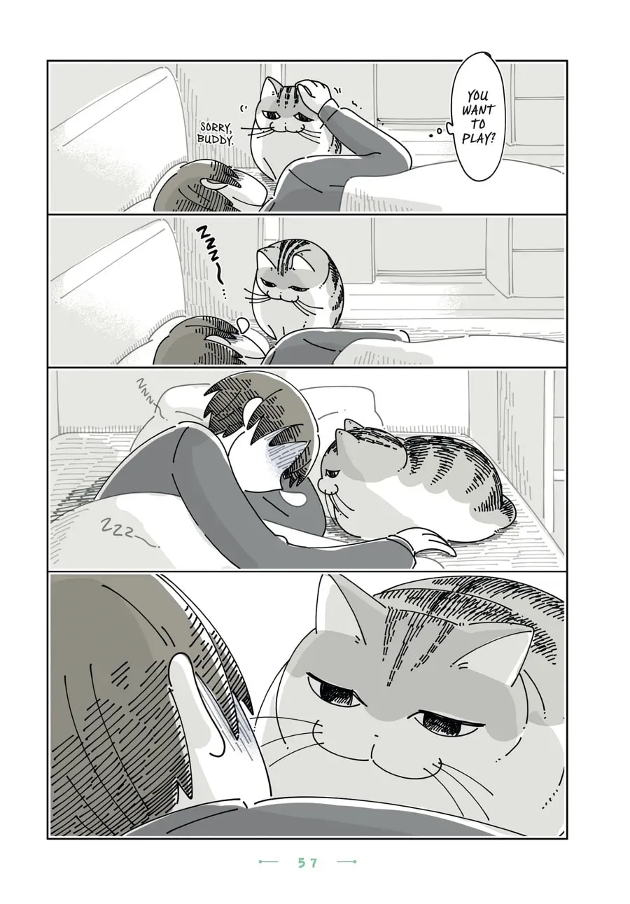 Nights With a Cat Chapter 184 page 2 - 