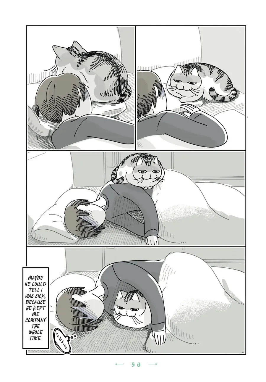 Nights With a Cat Chapter 184 page 3 - 