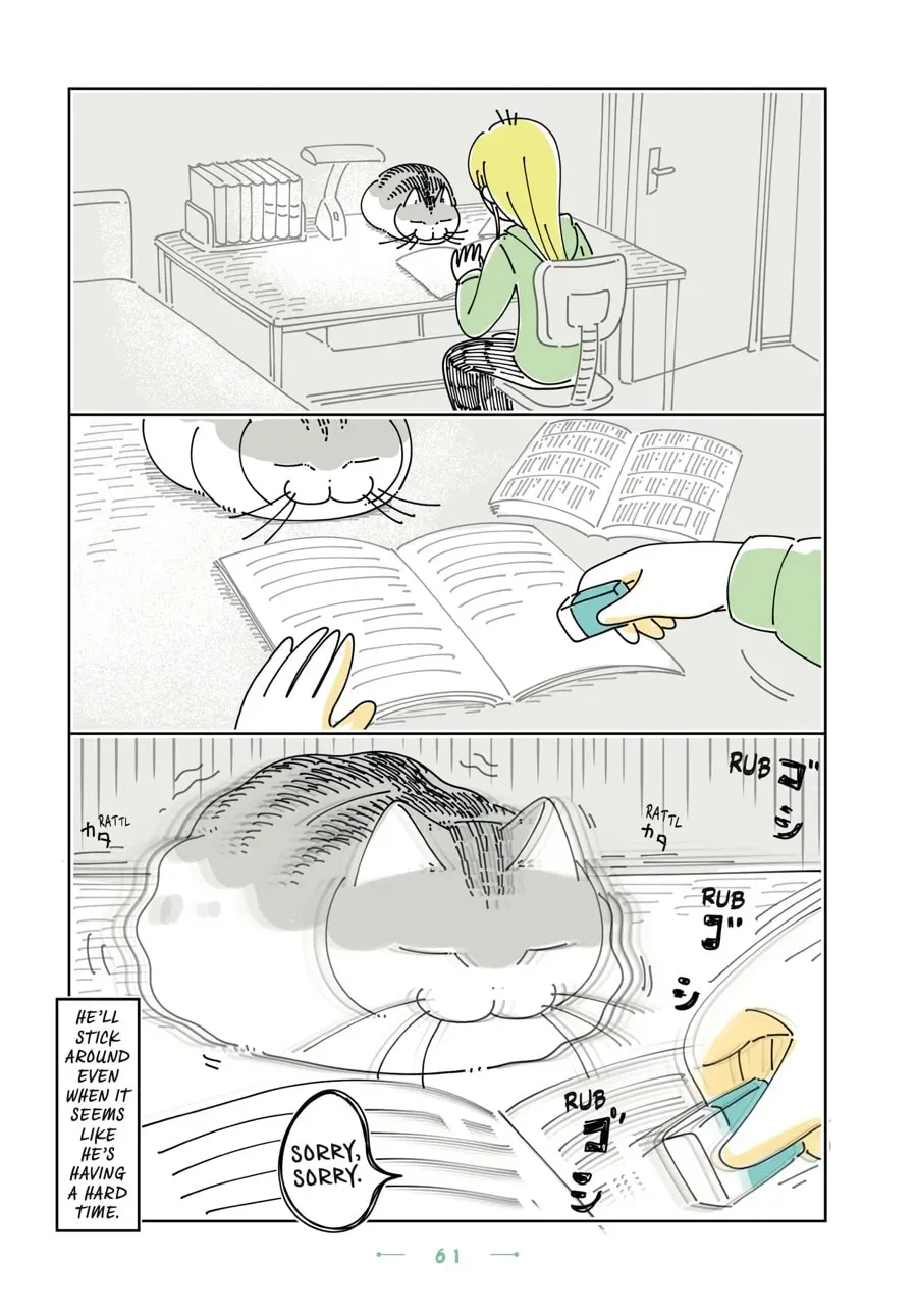 Nights With a Cat Chapter 185 page 3 - 