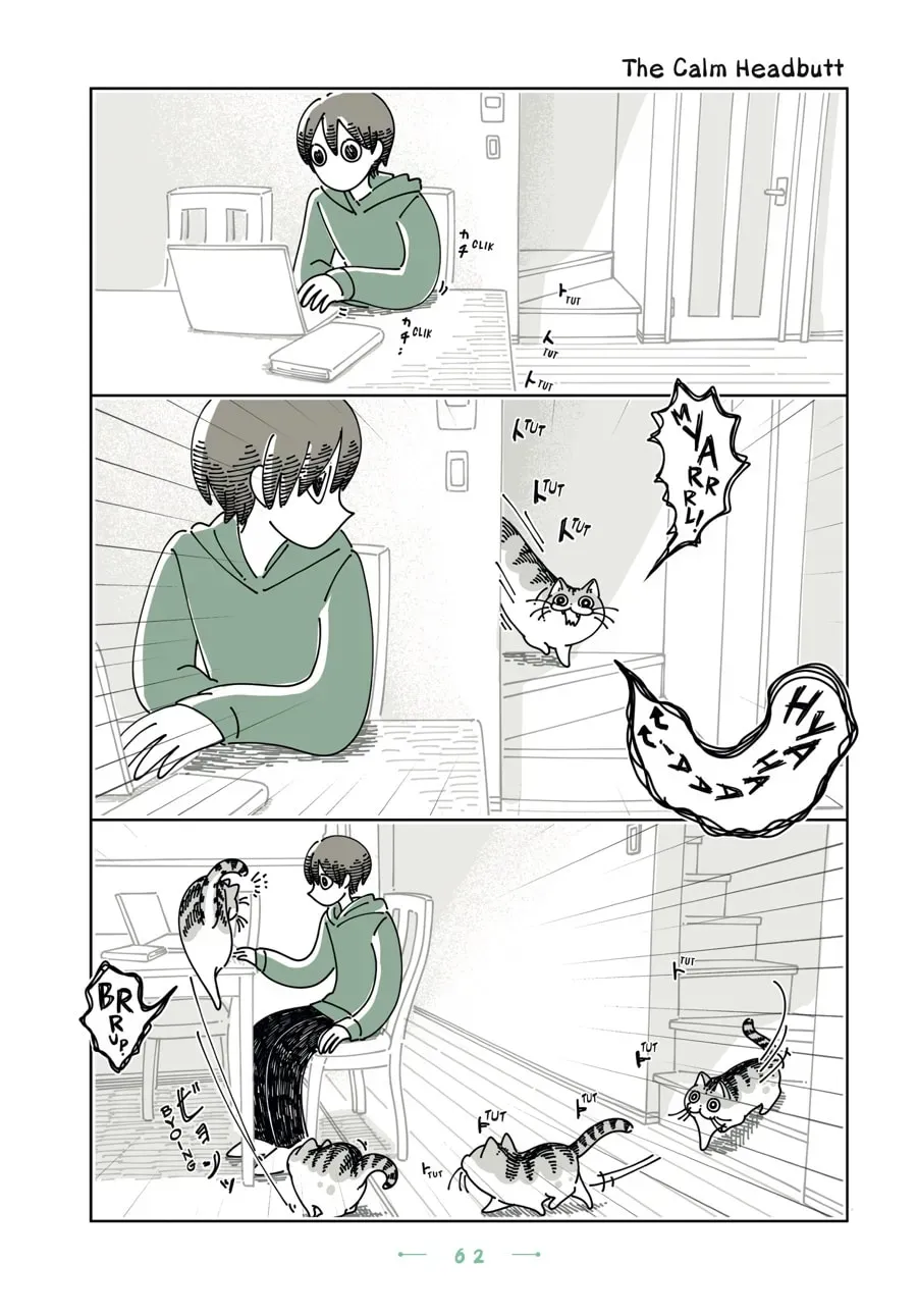 Nights With a Cat Chapter 186 page 1 - 