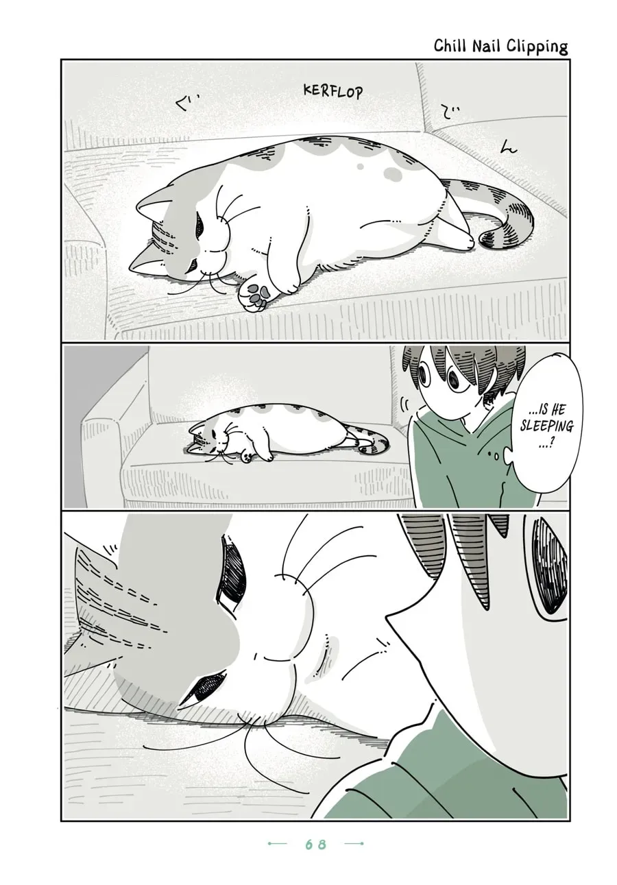 Nights With a Cat Chapter 188 page 1 - 