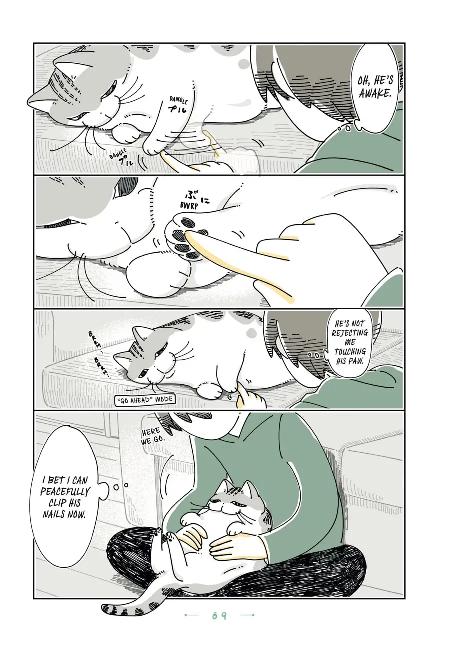 Nights With a Cat Chapter 188 page 2 - 