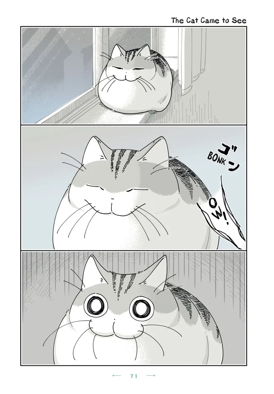 Nights With a Cat Chapter 189 page 1 - 
