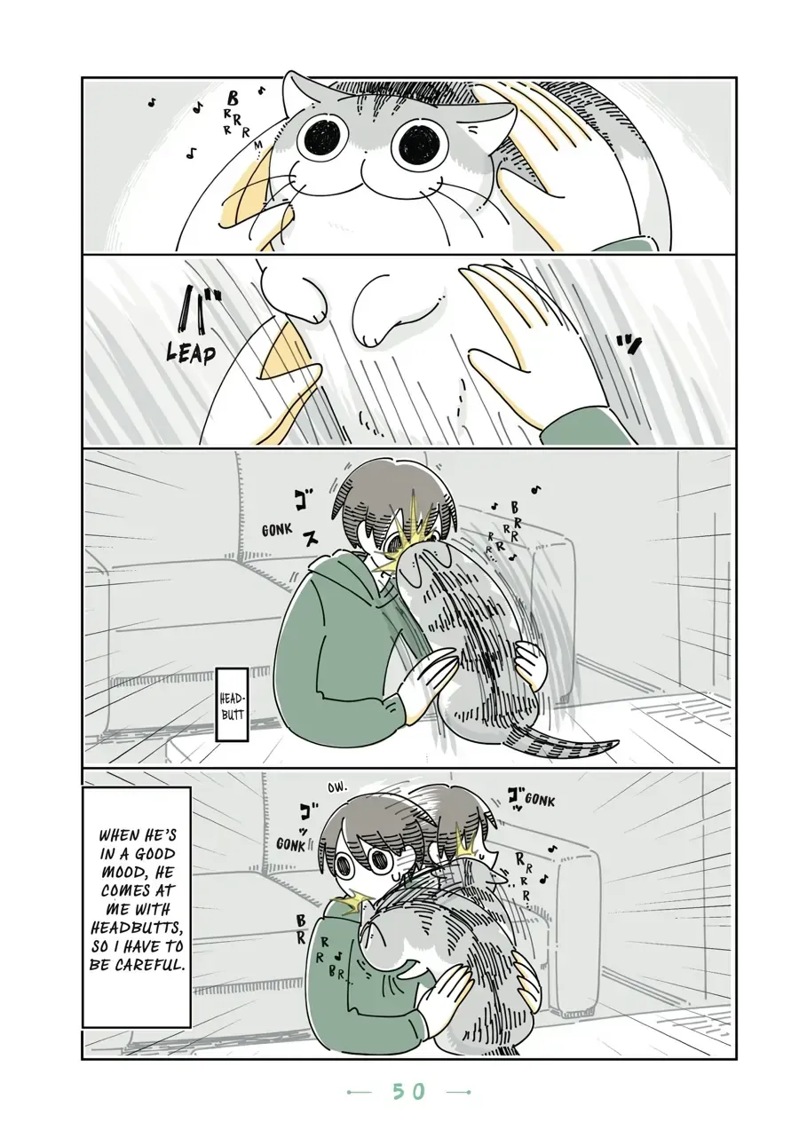 Nights With a Cat Chapter 19.2 page 3 - 