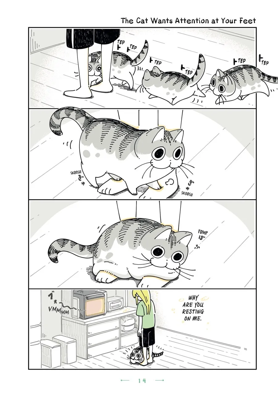 Nights With a Cat Chapter 19 page 11 - 