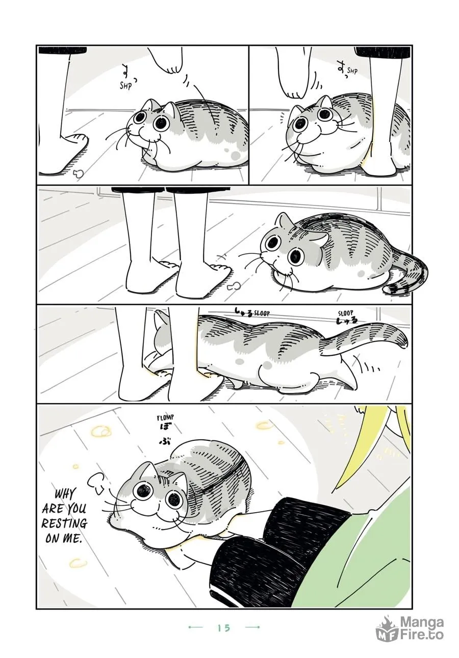 Nights With a Cat Chapter 19 page 12 - 