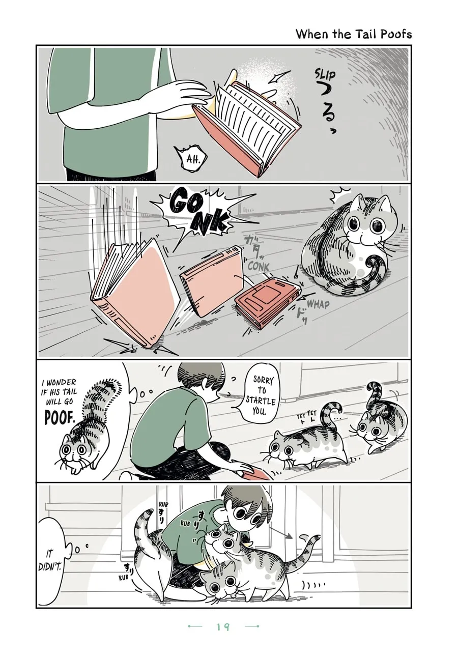 Nights With a Cat Chapter 19 page 16 - 