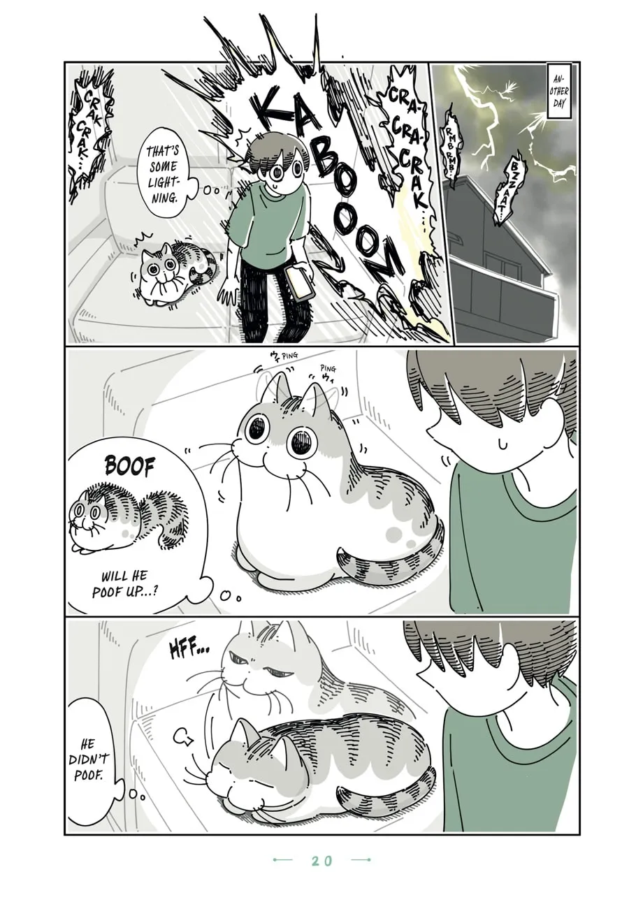 Nights With a Cat Chapter 19 page 17 - 