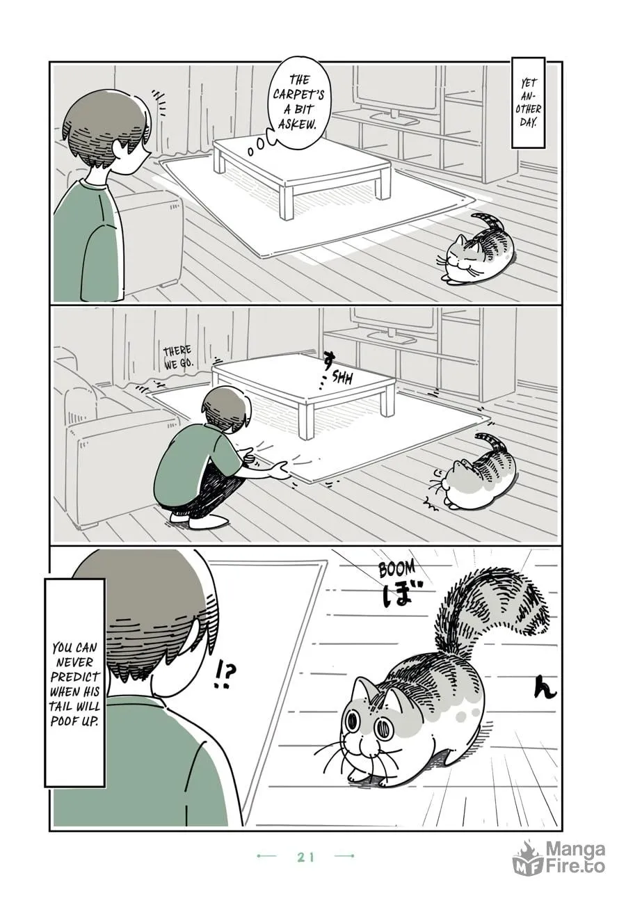 Nights With a Cat Chapter 19 page 18 - 