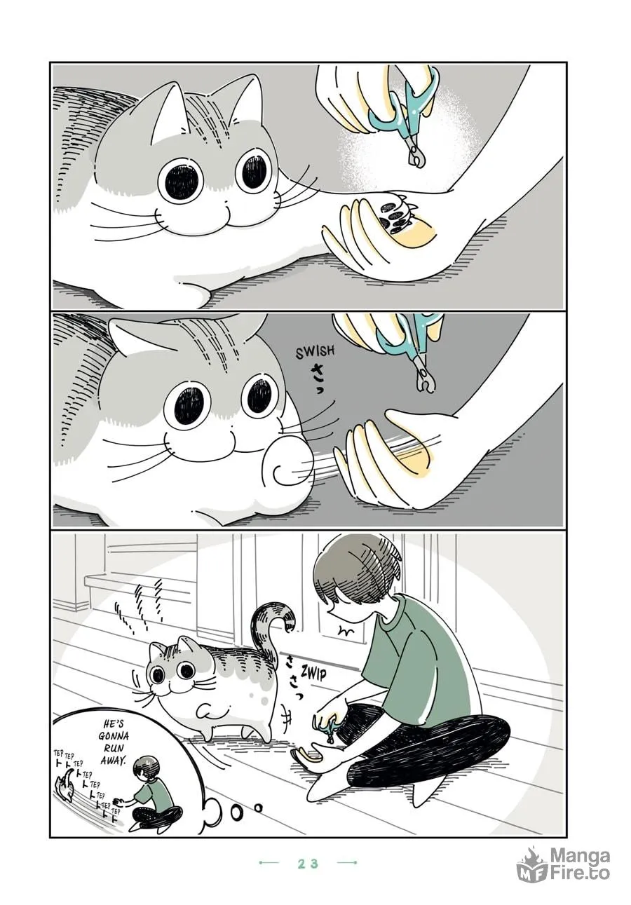 Nights With a Cat Chapter 19 page 20 - 