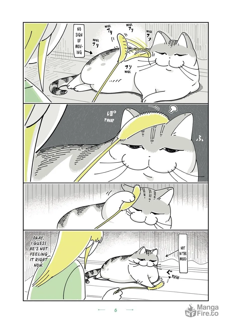 Nights With a Cat Chapter 19 page 3 - 