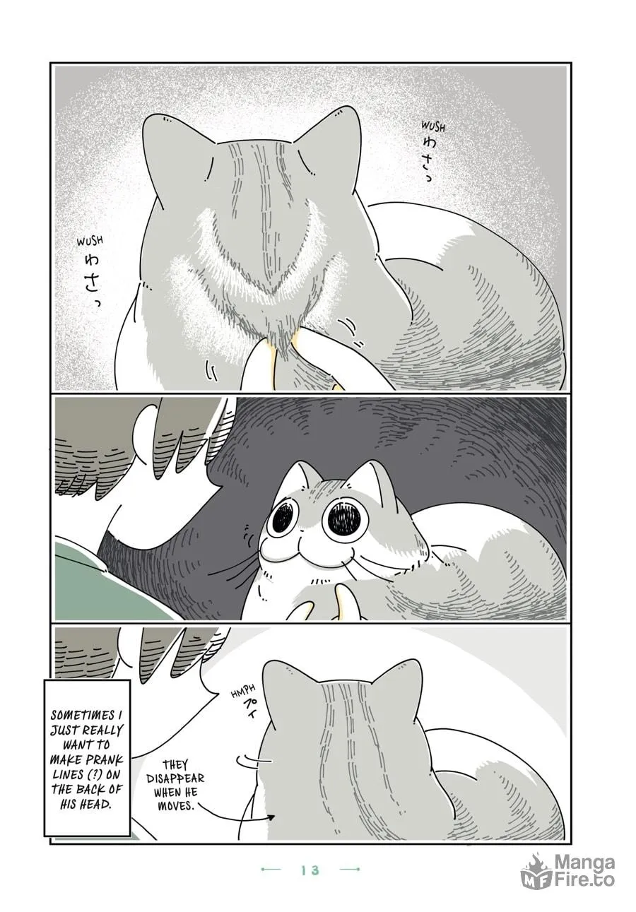 Nights With a Cat Chapter 19 page 10 - 