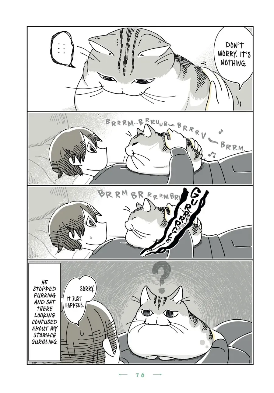 Nights With a Cat Chapter 190 page 3 - 