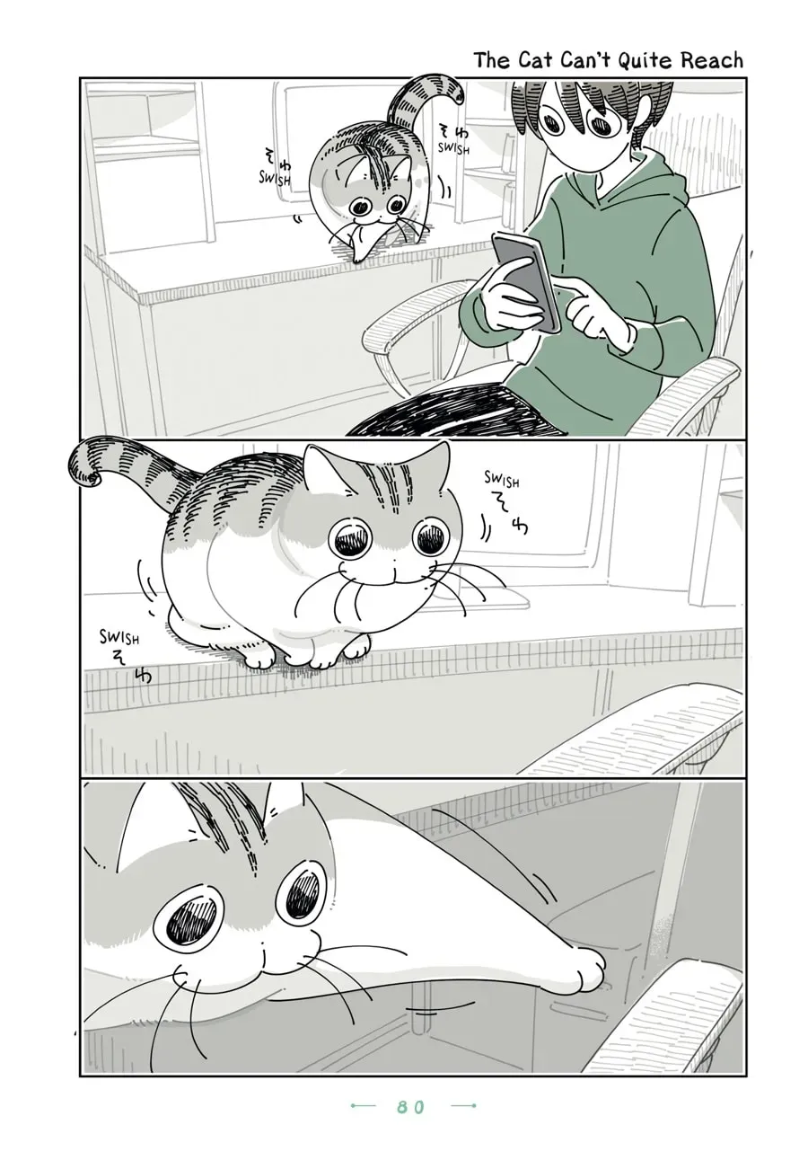 Nights With a Cat Chapter 192 page 1 - 