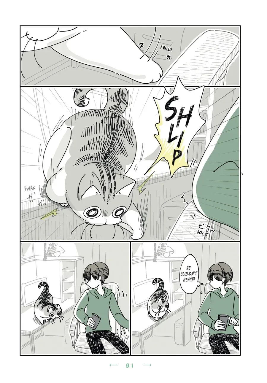 Nights With a Cat Chapter 192 page 2 - 