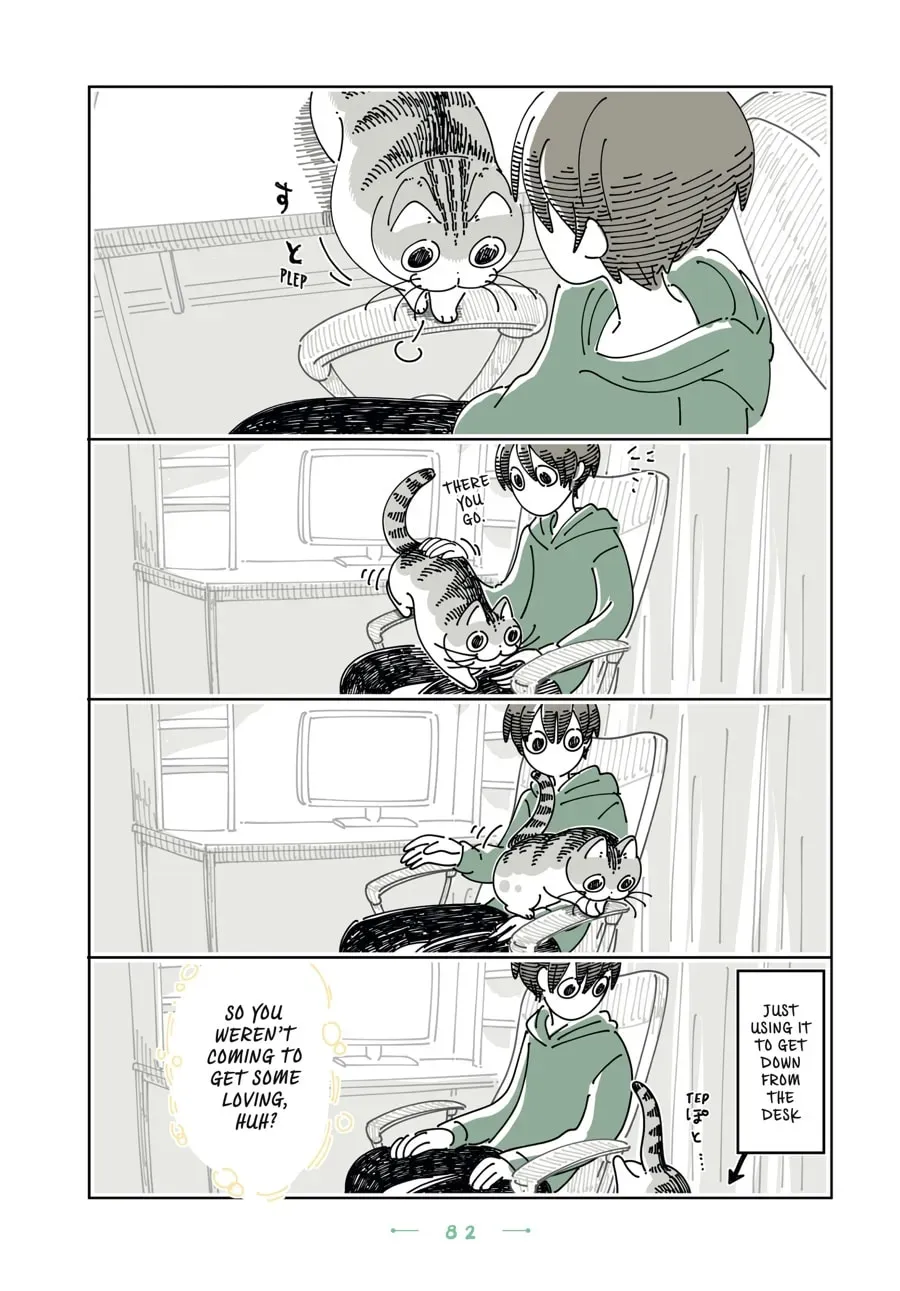 Nights With a Cat Chapter 192 page 3 - 