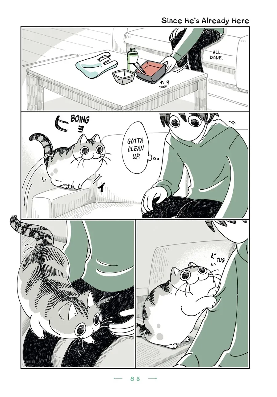 Nights With a Cat Chapter 193 page 1 - 