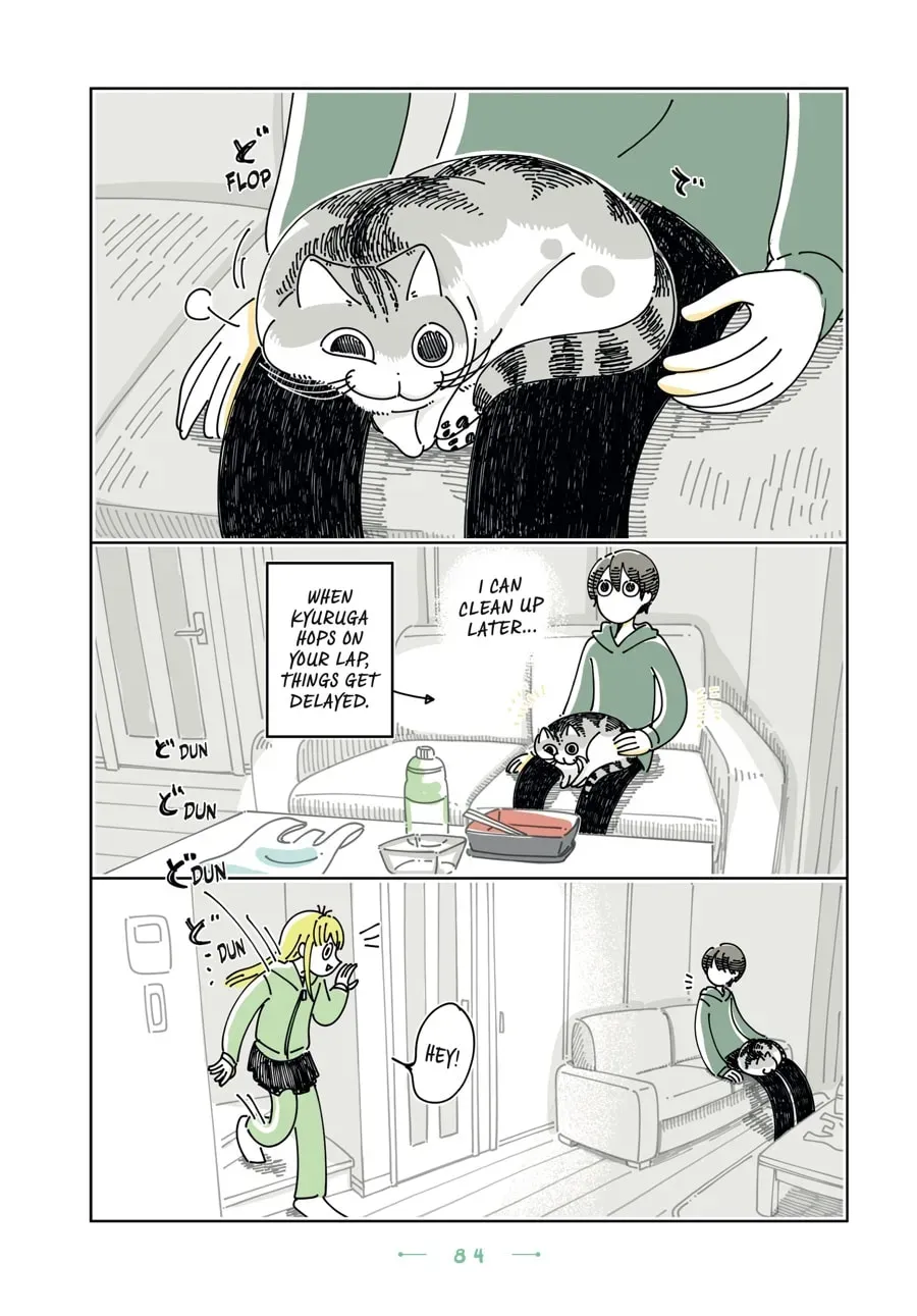 Nights With a Cat Chapter 193 page 2 - 