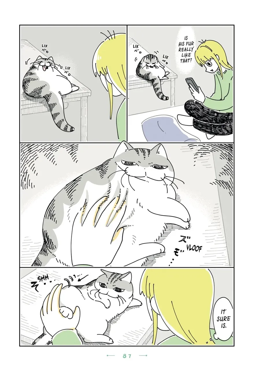 Nights With a Cat Chapter 194 page 2 - 