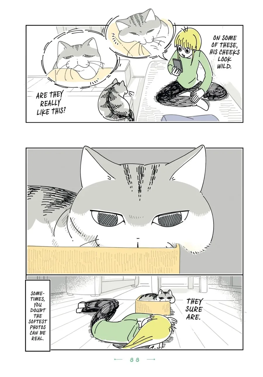 Nights With a Cat Chapter 194 page 3 - 