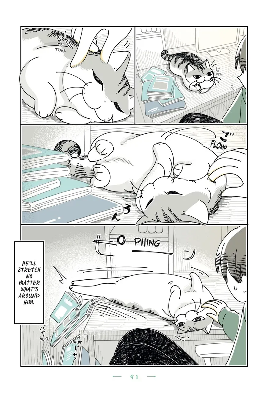 Nights With a Cat Chapter 195 page 3 - 