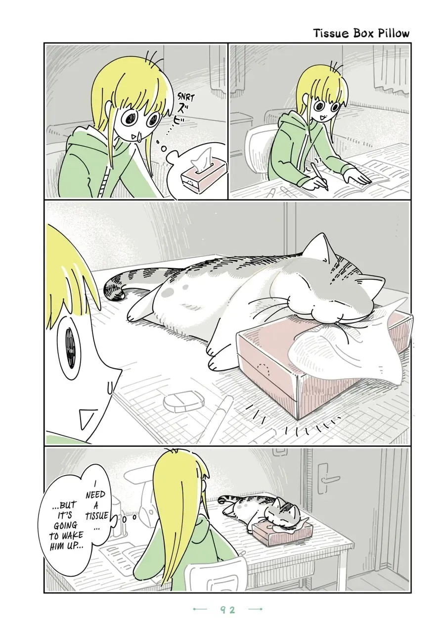 Nights With a Cat Chapter 196 page 1 - 