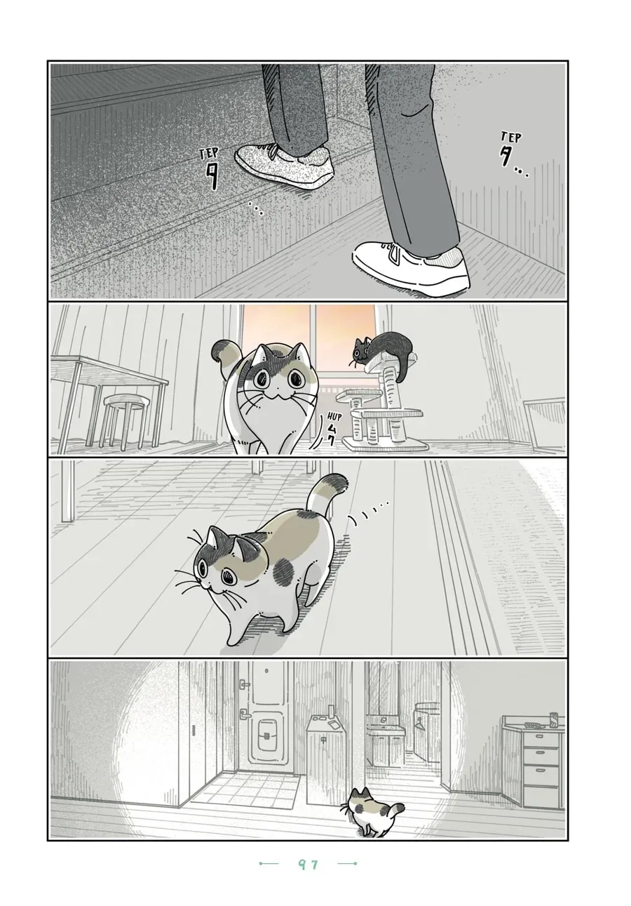 Nights With a Cat Chapter 197 page 2 - 