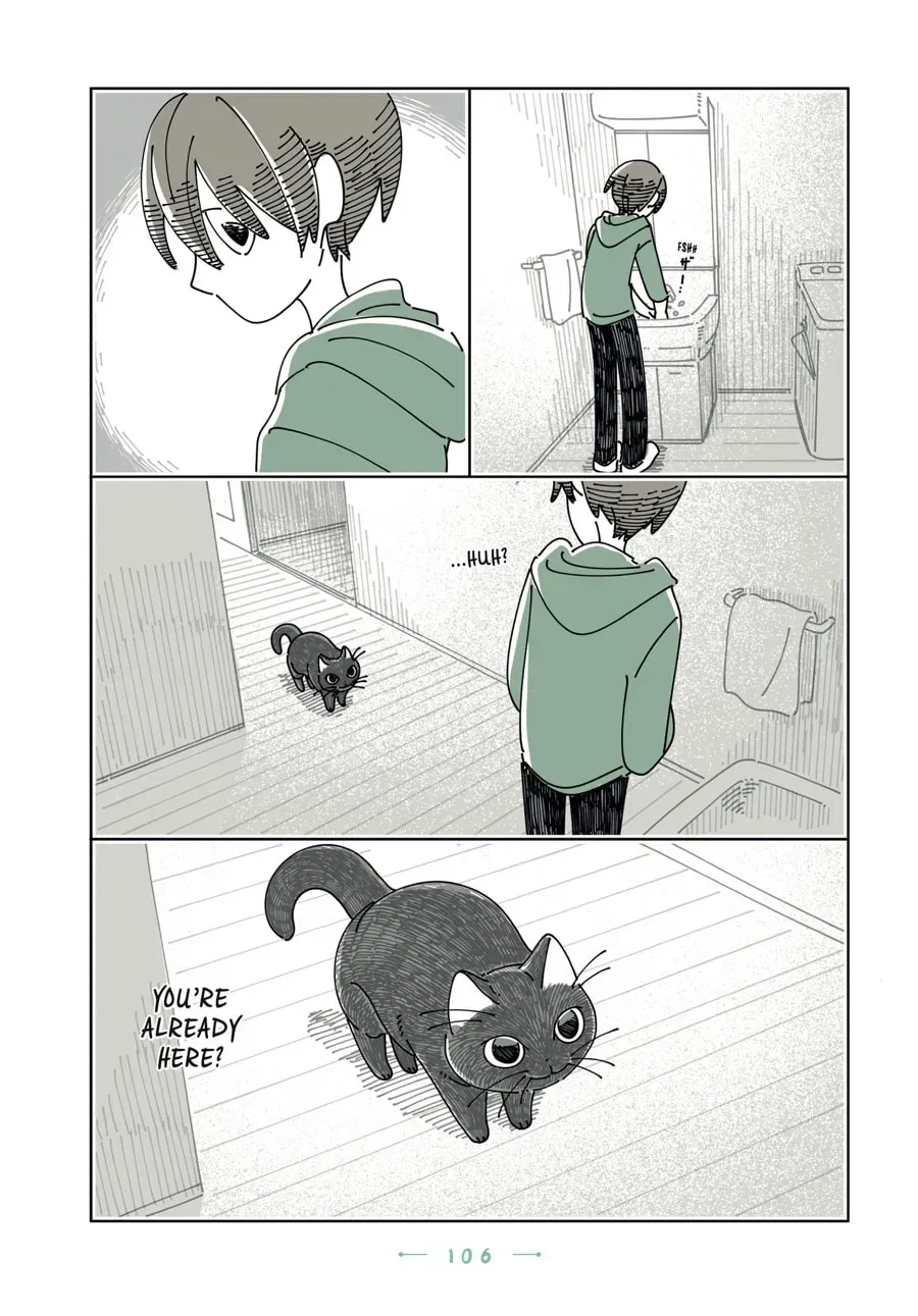 Nights With a Cat Chapter 197 page 11 - 