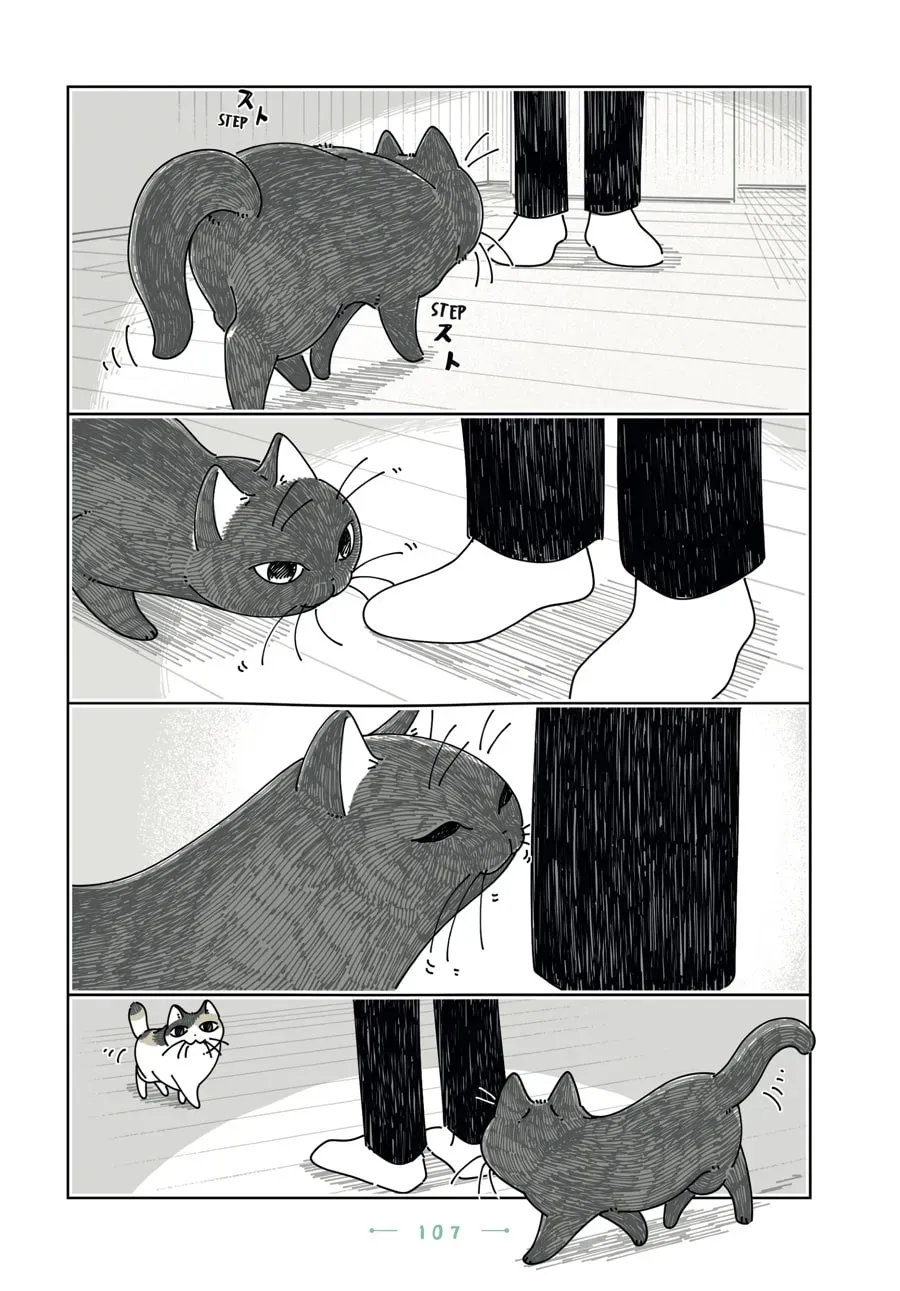 Nights With a Cat Chapter 197 page 12 - 
