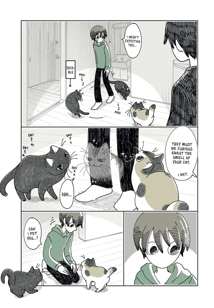 Nights With a Cat Chapter 197 page 13 - 