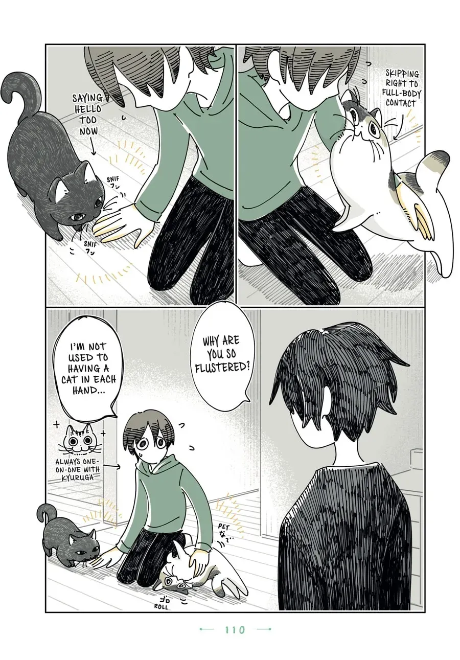Nights With a Cat Chapter 197 page 15 - 