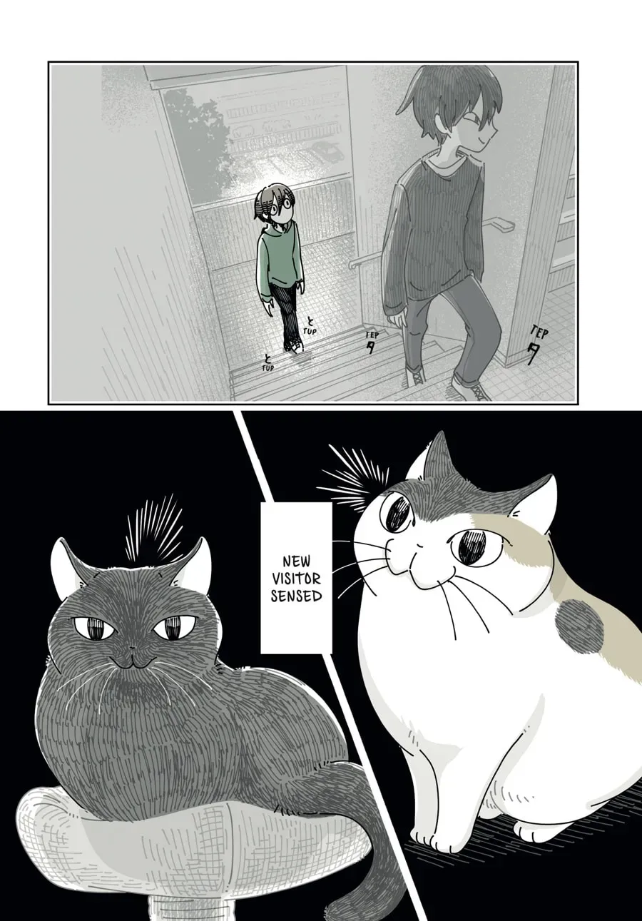 Nights With a Cat Chapter 197 page 4 - 